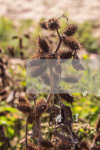網(wǎng)商貸逾期還款后備用金不能借了-網(wǎng)商貸逾期還款后備用金不能借了嗎