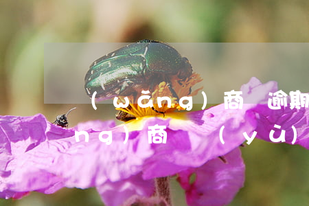 網(wǎng)商貸逾期還款提醒(網(wǎng)商貸預(yù)期了怎么辦)