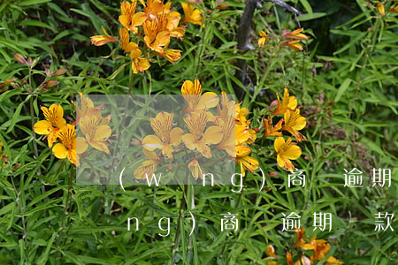網(wǎng)商貸逾期還款的后果（網(wǎng)商貸逾期還款能協(xié)商免罰金嗎）