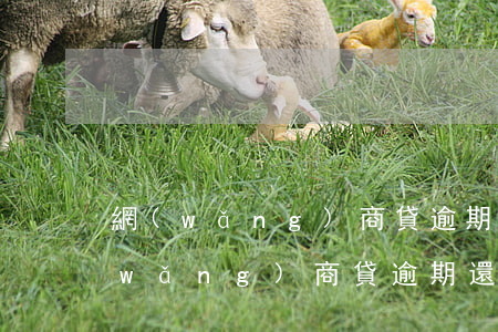 網(wǎng)商貸逾期還款貸不了了(網(wǎng)商貸逾期還款的后果,真是坑到你無法想象)