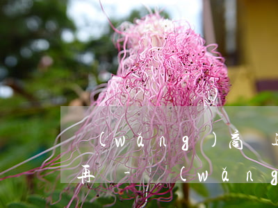 網(wǎng)商貸逾期還清后要多久才能再貸-網(wǎng)商貸逾期還清后要多久才能再貸款