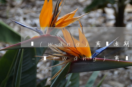 網(wǎng)商貸逾期金額多少會被起訴-網(wǎng)商貸一般逾期多久上訴