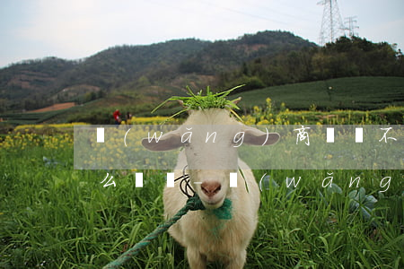 網(wǎng)商貸還不上會(huì)怎么樣嗎-網(wǎng)商貸還不上會(huì)怎么樣嗎