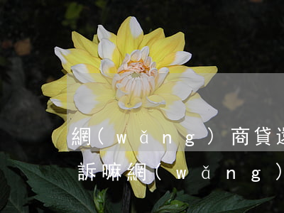 網(wǎng)商貸還不上會(huì)起訴嘛(網(wǎng)商貸不還會(huì)起訴嗎)
