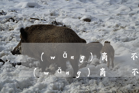 網(wǎng)商貸還不上逾期怎么辦-網(wǎng)商貸還不上逾期怎么辦呢