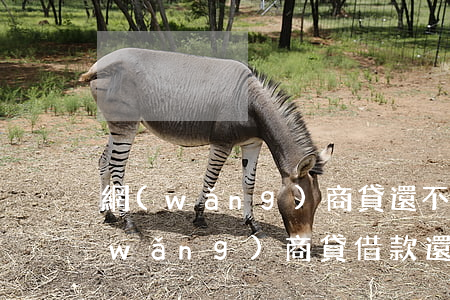 網(wǎng)商貸還不上逾期怎么辦(網(wǎng)商貸借款還不上怎么辦)