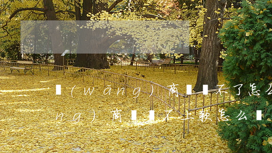 網(wǎng)商貸還不了怎么辦(網(wǎng)商貸還不上款怎么辦)