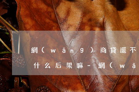 網(wǎng)商貸還不起會(huì)有什么后果嘛-網(wǎng)商貸還不起會(huì)有什么后果嘛知乎
