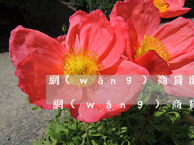 網(wǎng)商貸還不起有什么后果嗎-網(wǎng)商貸還不起有什么后果嗎怎么辦