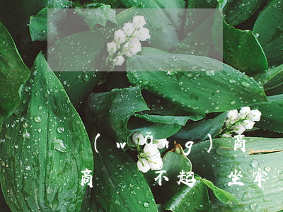 網(wǎng)商貸 還不起(網(wǎng)商貸還不起會坐牢)
