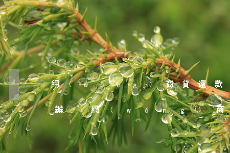 網(wǎng)商貸還款中額度沒有了怎么辦-網(wǎng)商貸還款中額度沒有了怎么辦?