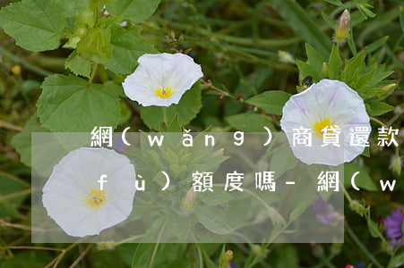 網(wǎng)商貸還款利息足夠才恢復(fù)額度嗎-網(wǎng)商貸還款期間會提升額度嗎