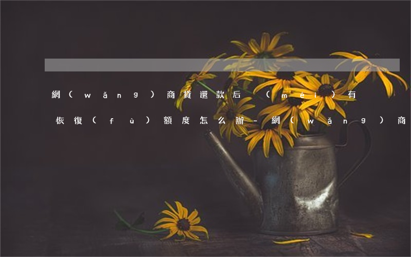網(wǎng)商貸還款后沒(méi)有恢復(fù)額度怎么辦-網(wǎng)商貸還款后沒(méi)有恢復(fù)額度怎么辦呢
