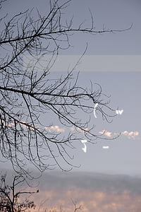 網(wǎng)商貸還款后為什么沒有額度了-網(wǎng)商貸還款后為什么沒有額度了怎么恢復(fù)