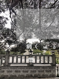 網(wǎng)商貸還款延期一天有什么影響-