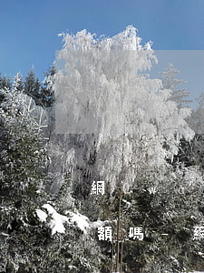 網(wǎng)商貸還款方式必須是每月等額嗎-網(wǎng)商貸還款方式必須是每月等額嗎