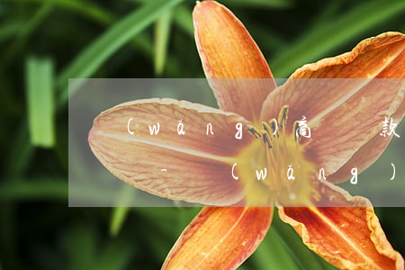 網(wǎng)商貸還款為什么要通過對公賬戶-網(wǎng)商貸還款為什么要通過對公賬戶還款