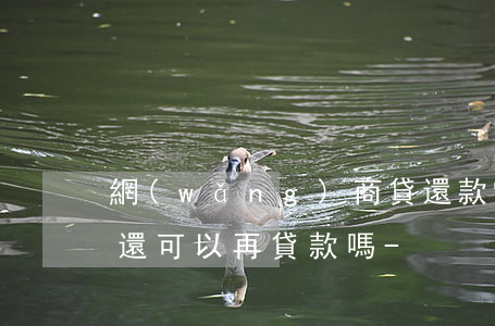 網(wǎng)商貸還款當(dāng)天還可以再貸款嗎-