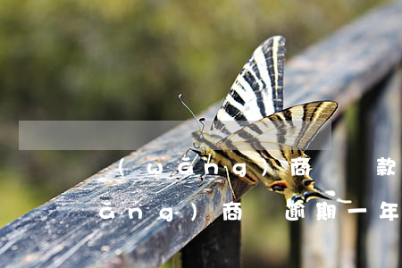網(wǎng)商貸還款逾期的影響(網(wǎng)商貸逾期一年逾期費)