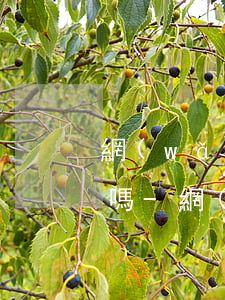 網(wǎng)商貸還清了還可以提前還款嗎-網(wǎng)商貸還清了還可以提前還款嗎怎么還