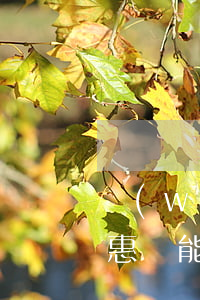 網(wǎng)商貸部分還款優(yōu)惠還能享受嗎-網(wǎng)商貸部分還款優(yōu)惠還能享受嗎是真的嗎