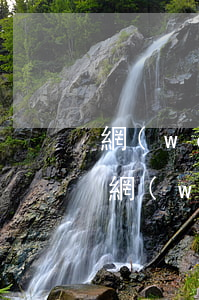 網(wǎng)商貸電話(huà)多少-網(wǎng)商貸客服電話(huà)多少