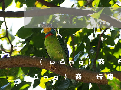 網(wǎng)商銀行借錢怎么借-網(wǎng)商銀行借錢怎么借不到