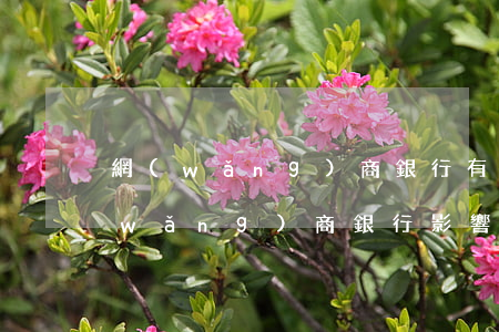 網(wǎng)商銀行有逾期能房貸么(網(wǎng)商銀行影響房貸嗎)