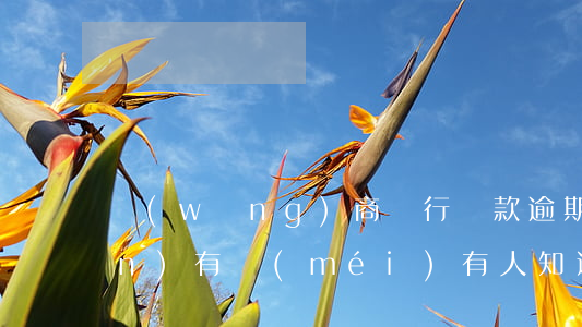 網(wǎng)商銀行貸款逾期4萬(wàn)(有沒(méi)有人知道網(wǎng)商銀行逾期怎么處理的)