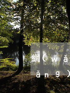 網(wǎng)商銀行貸款逾期一天(網(wǎng)商銀行貸款逾期一天)