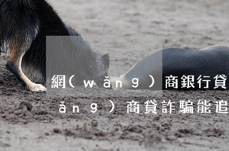 網(wǎng)商銀行貸款逾期詐騙(網(wǎng)商貸詐騙能追回來嗎)
