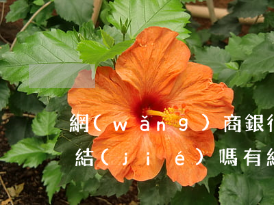 網(wǎng)商銀行起訴會(huì)凍結(jié)嗎（有網(wǎng)商銀行逾期被起訴的嗎）