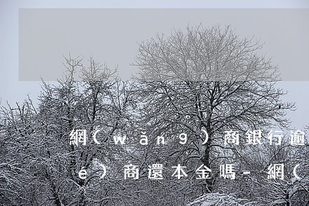網(wǎng)商銀行逾期了可以協(xié)商還本金嗎-網(wǎng)商銀行逾期了可以協(xié)商還本金嗎