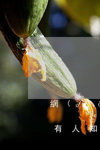 網(wǎng)商銀行逾期后還款方式(有沒有人知道網(wǎng)商銀行逾期怎么處理的)
