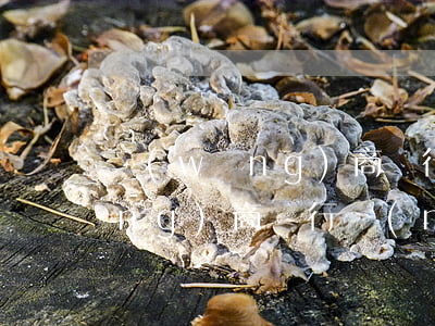 網(wǎng)商銀行逾期的后果 網(wǎng)商銀行沒(méi)還會(huì)起訴嗎
