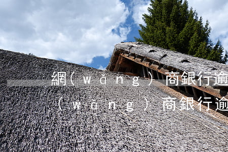 網(wǎng)商銀行逾期記錄怎么消除(網(wǎng)商銀行逾期記錄怎么消除啊)