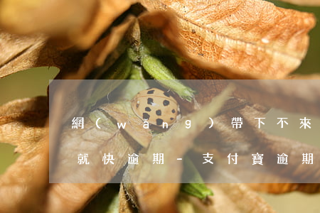 網(wǎng)帶下不來(lái)支付寶就快逾期-支付寶逾期是不是別的網(wǎng)貸的錢也借不出來(lái)了