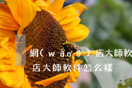 網(wǎng)店大師軟件(網(wǎng)店大師軟件怎么樣)