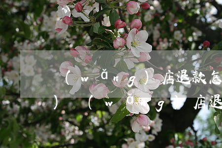 網(wǎng)店退款怎么處理(開(kāi)網(wǎng)店退款怎么退)