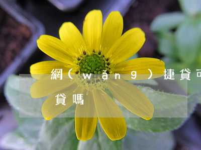 網(wǎng)捷貸可以還網(wǎng)貸嗎