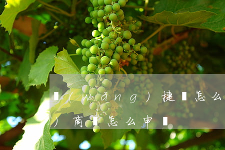 網(wǎng)捷貸怎么申請(網(wǎng)商貸怎么申請)