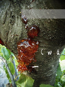 網(wǎng)捷貸為什么每個月還款日不一樣-網(wǎng)捷貸為什么每個月還款日不一樣呢