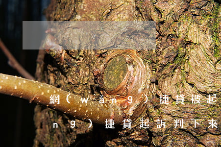 網(wǎng)捷貸被起訴了案件(網(wǎng)捷貸起訴判下來的時間)