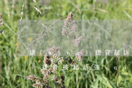 網(wǎng)捷貸起訴后果(網(wǎng)捷貸被起訴強(qiáng)制)