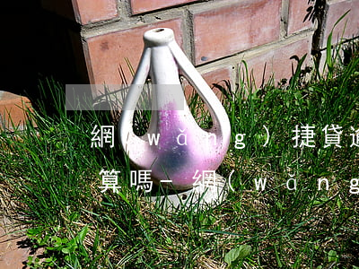 網(wǎng)捷貸逾期利息和滯納金按天算嗎-網(wǎng)捷貸逾期利息和滯納金按天算嗎怎么算