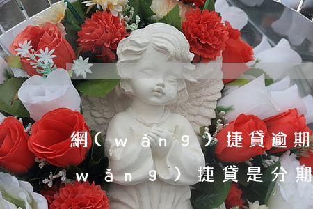 網(wǎng)捷貸逾期后可以分期嗎(網(wǎng)捷貸是分期還是到期一起還)