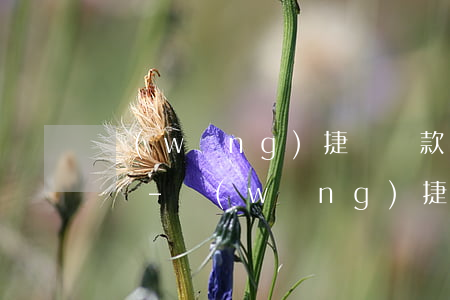 網(wǎng)捷貸還款后多久可以再貸出來-網(wǎng)捷貸還款后多久可以再貸出來可以通過手機(jī)還款嗎