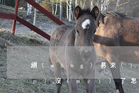 網(wǎng)易來(lái)錢(qián)沒(méi)了怎么知道自己還款-