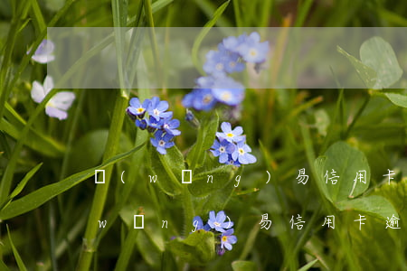 網(wǎng)易信用卡逾期881億(網(wǎng)易信用卡逾期881億)
