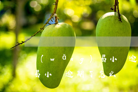 網(wǎng)易小貸逾期(網(wǎng)易小貸逾期了怎么辦)